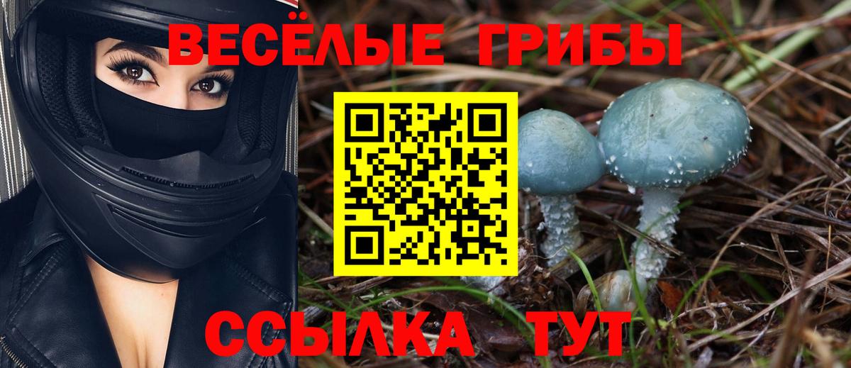 Галлюциногенные грибы Cubensis  Вход с VPN  Новый Уренгой 